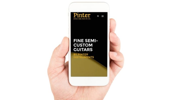 Pinter Guitars