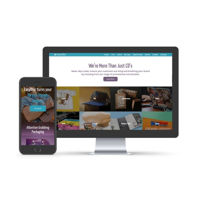 EasyDisc (easydisc.com) web design for easydisc